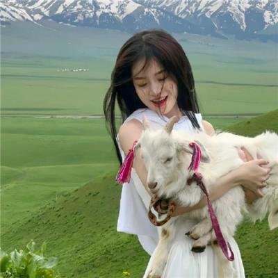 七彩难兄难弟