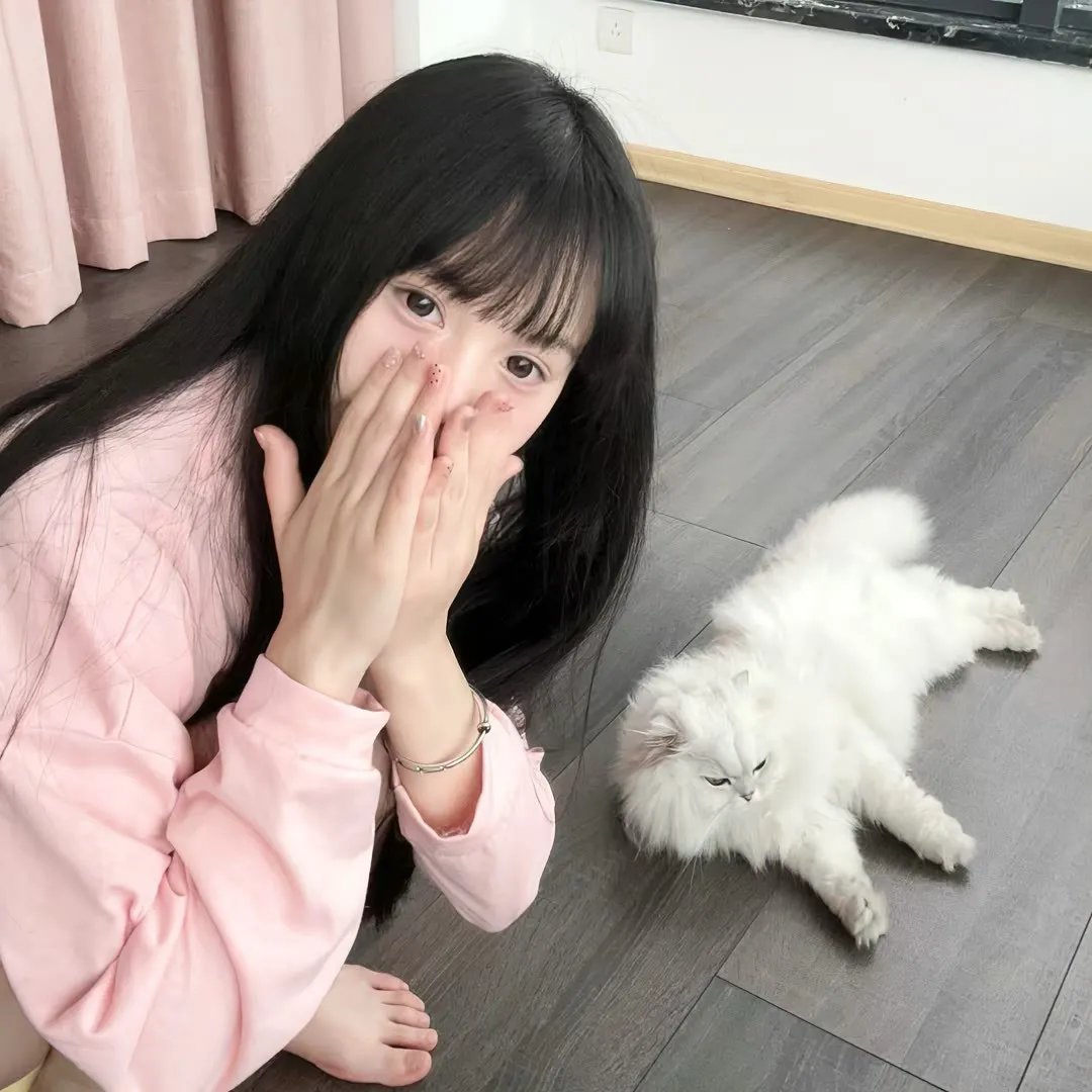 美鸟伴身边